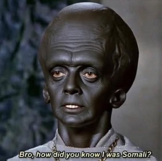 Opus Buddly tweet media