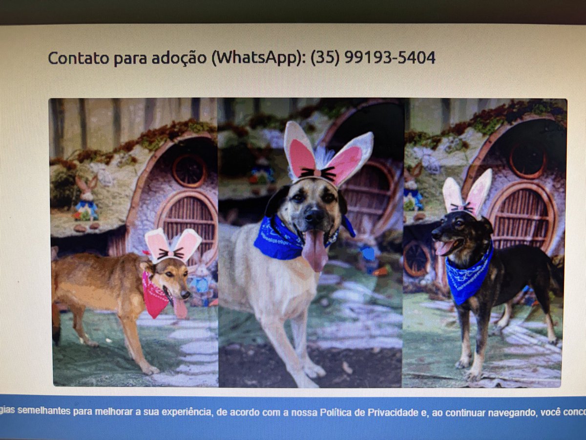 Fe Wehby 🤘🏽 tweet media