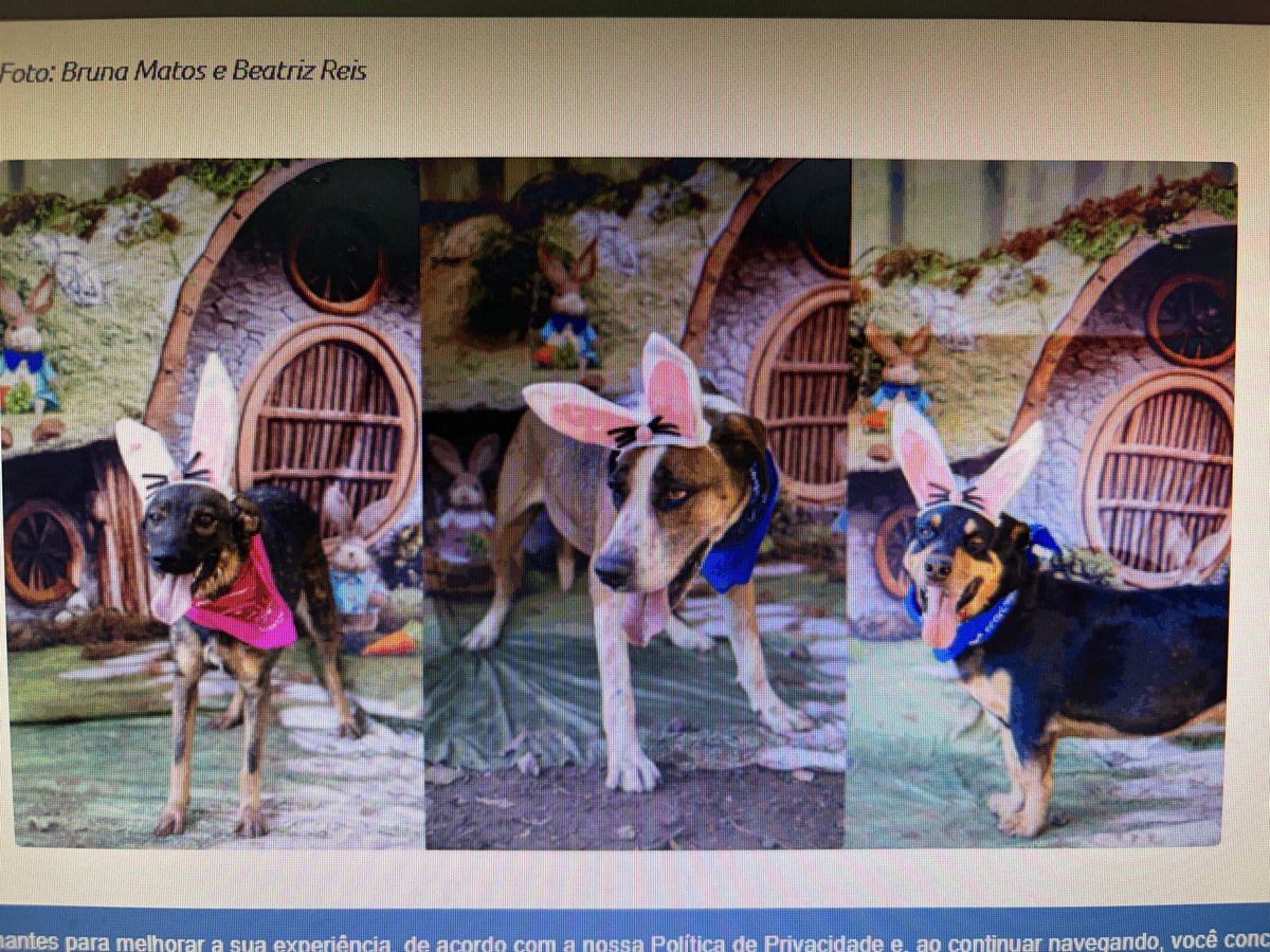 Fe Wehby 🤘🏽 tweet media