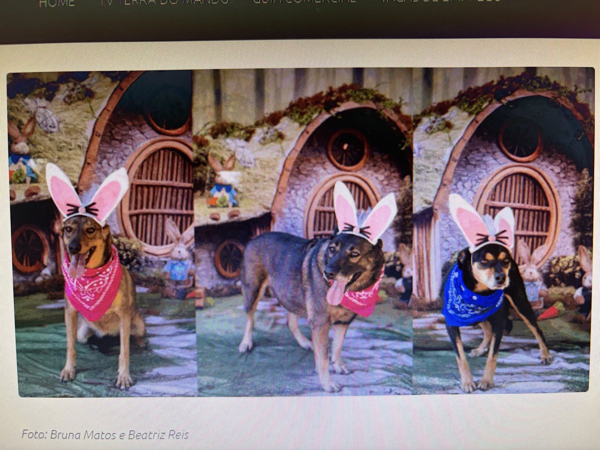 Fe Wehby 🤘🏽 tweet media