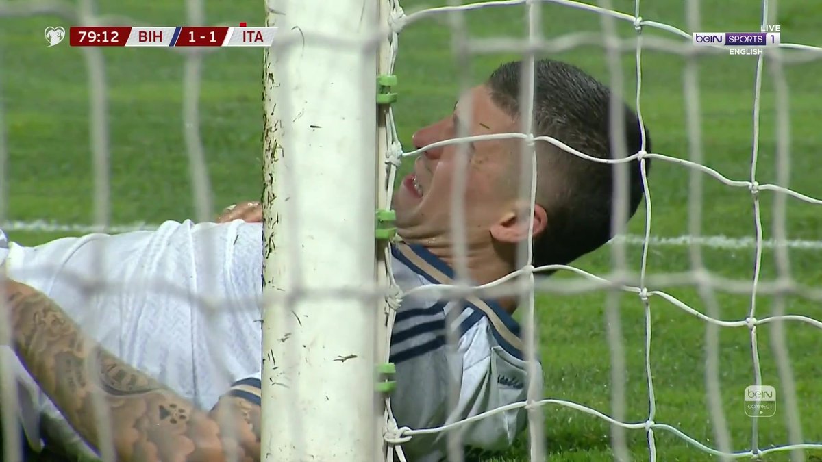 المنتخب البوسني يسجل التعادل 