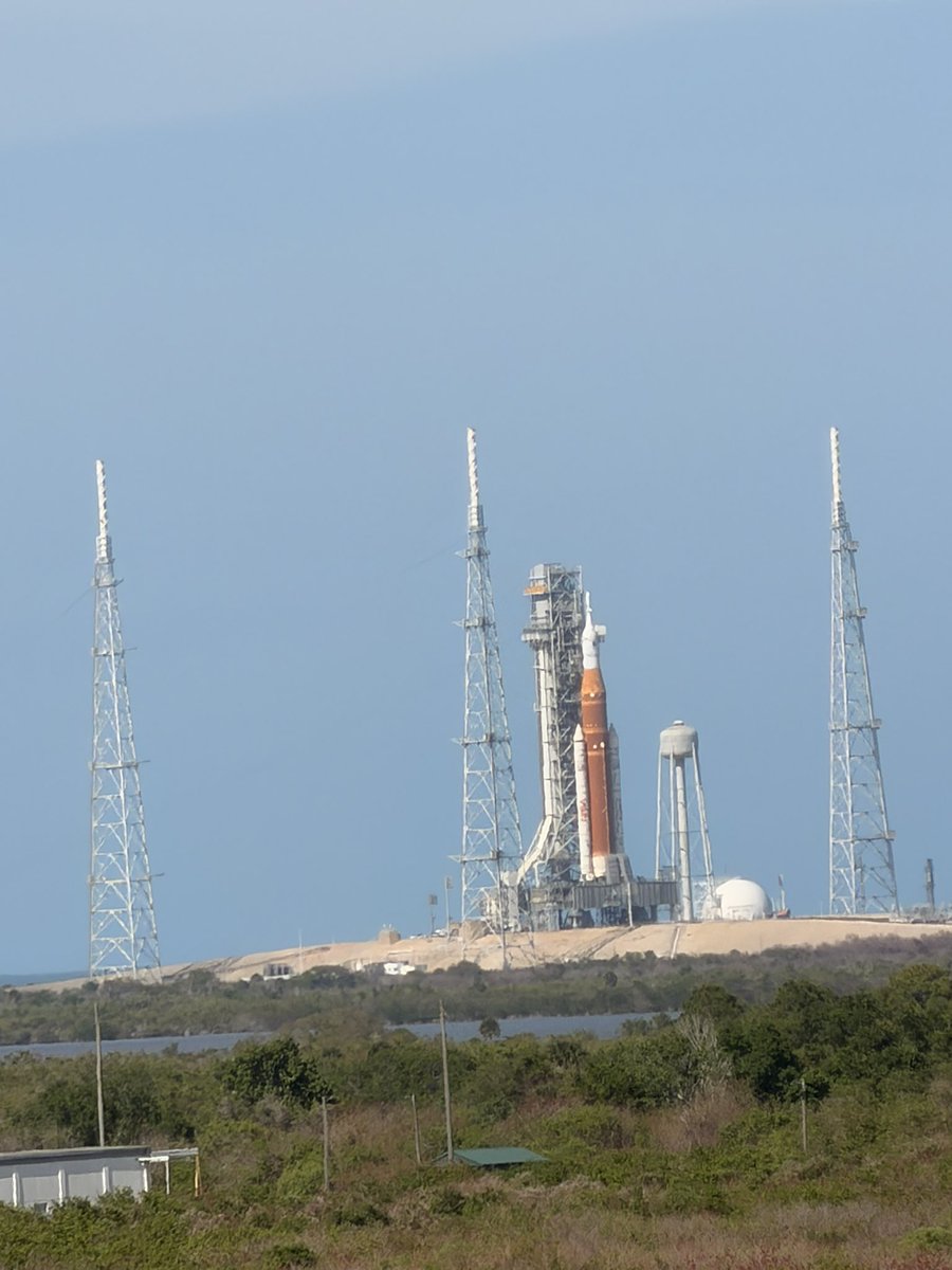 Benny Johnson tweet media