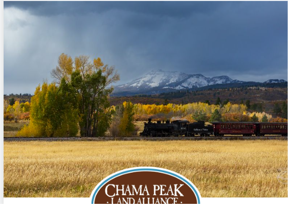 ChamaPeak's tweet photo. CPLA Newsletter - https://t.co/2mriKO4ZBn https://t.co/iZQdol83DN