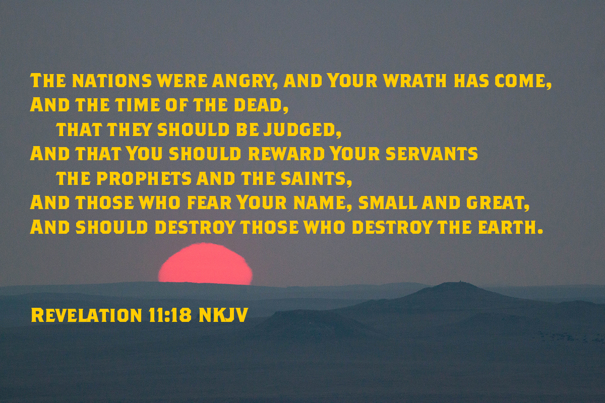 AndreaDona tweet media