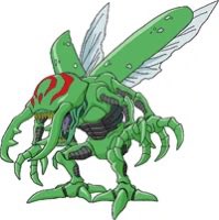 Pumpketo tweet media