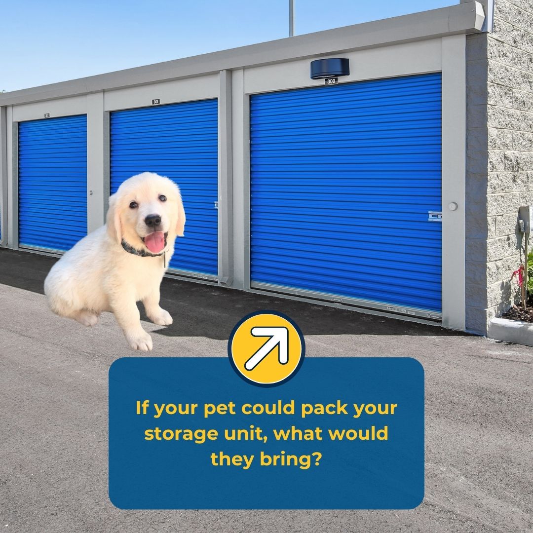 CompassStorage's tweet image. Whether it’s toys, treats, or treasures, we’re here to keep your items safe and organized. Share your pet’s picks! #Pet #Dog #Packing #CompassSelfStorage