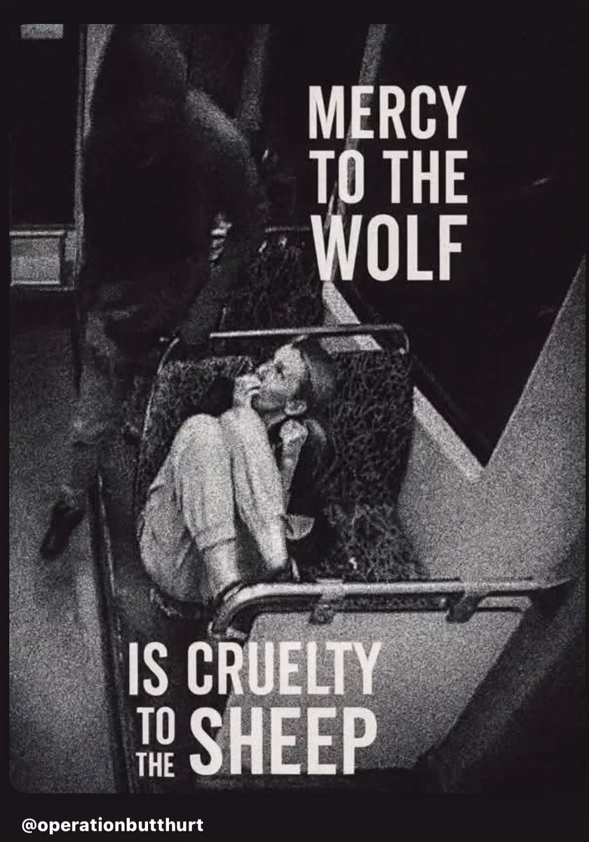 Buck Ronin 🇺🇸🇯🇵 tweet media