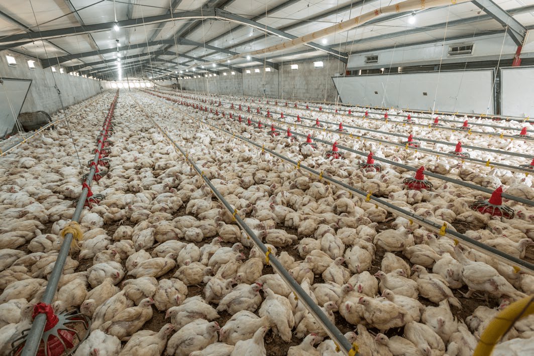 Damø🖤💛 tweet media