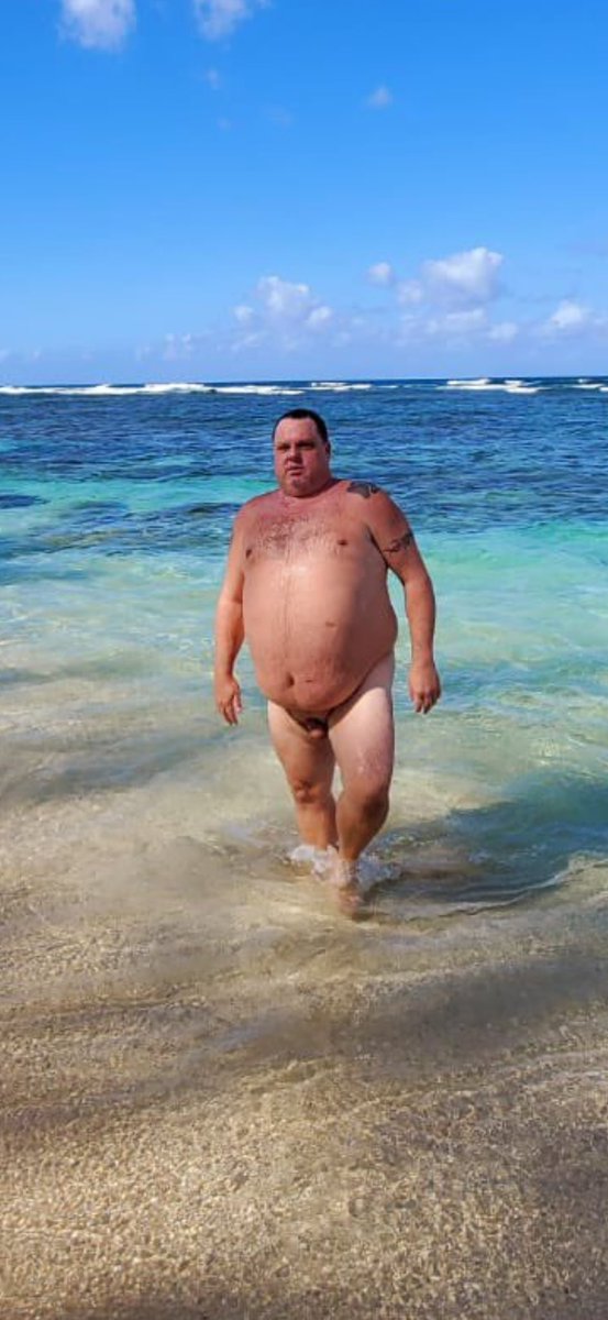 HiChubbear tweet media