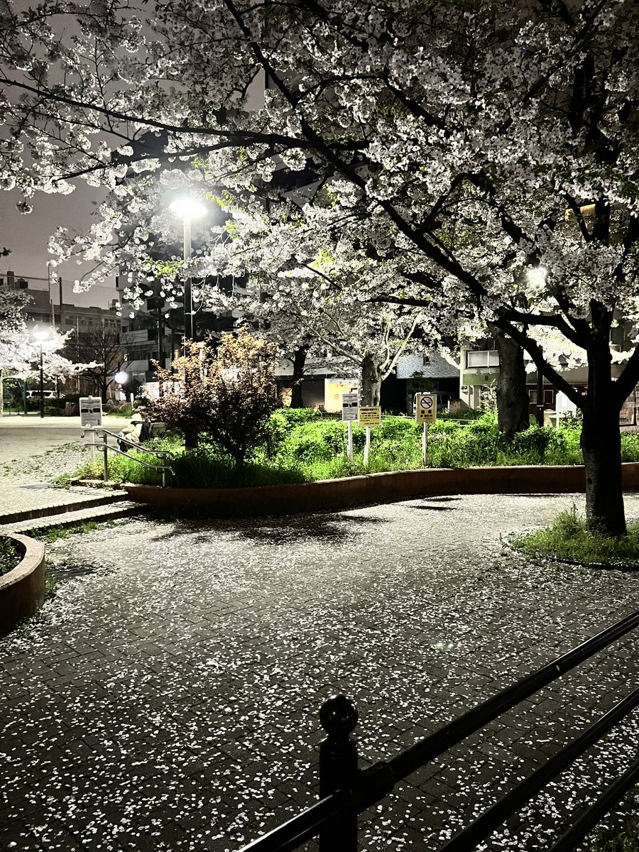 lean4real tweet media