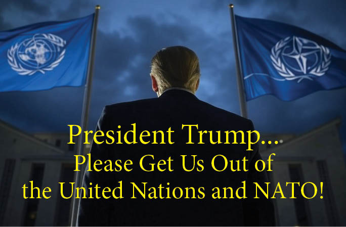 SaltyOldMan.com tweet media