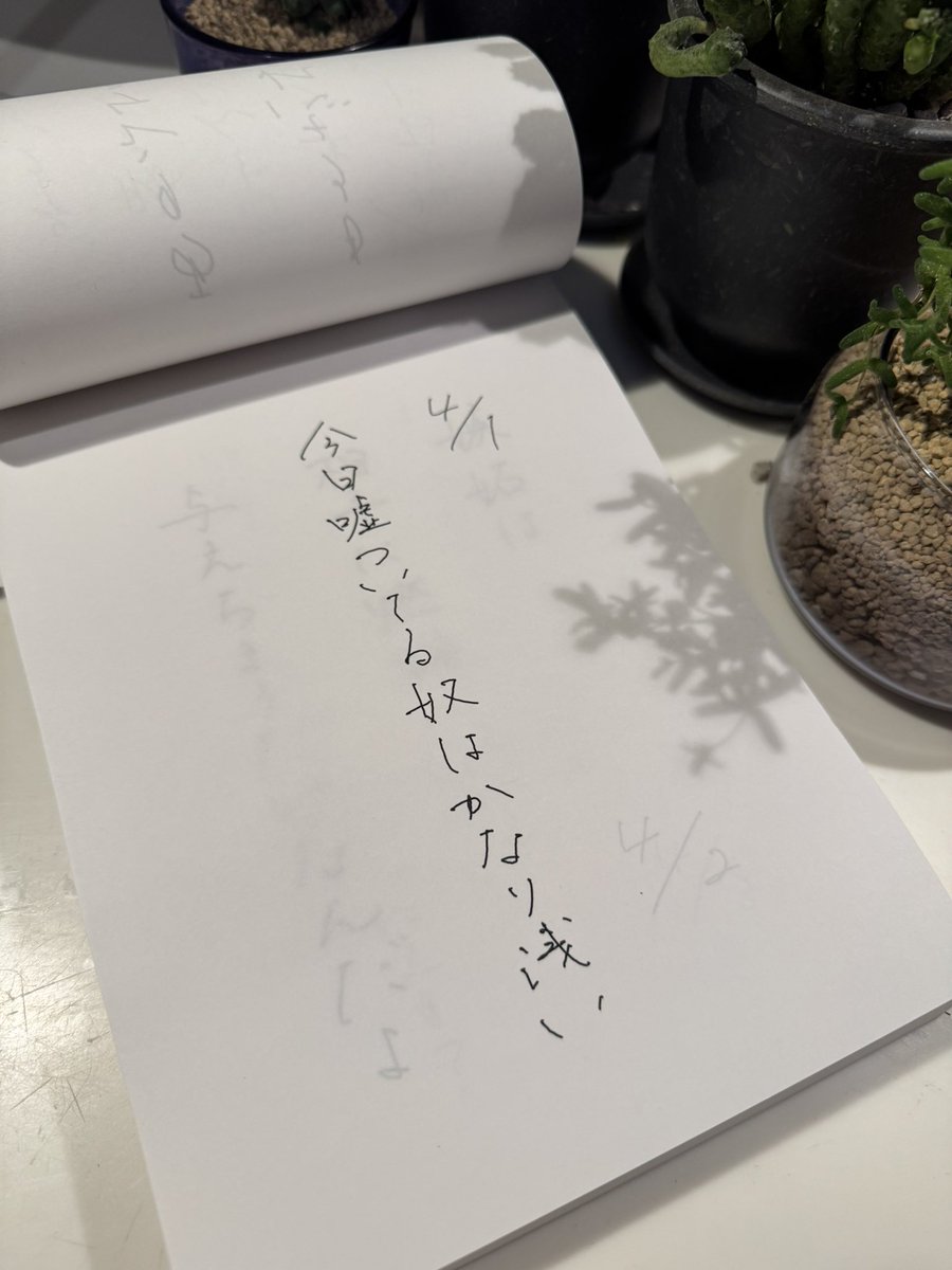 Z李 🇺🇦 NO WAR 🕊 tweet media