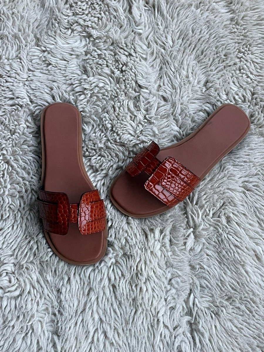 Queen Esther Solomon tweet media