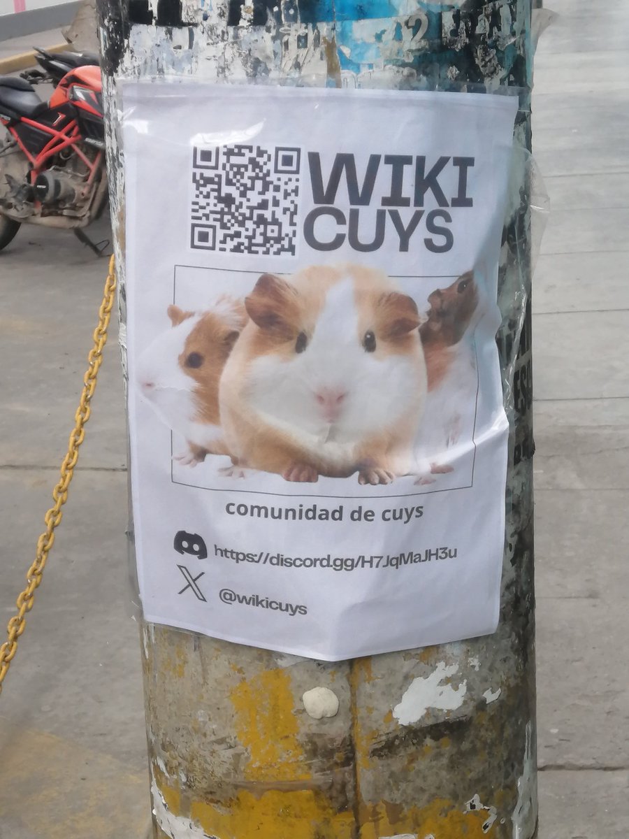 wiki cuys tweet media