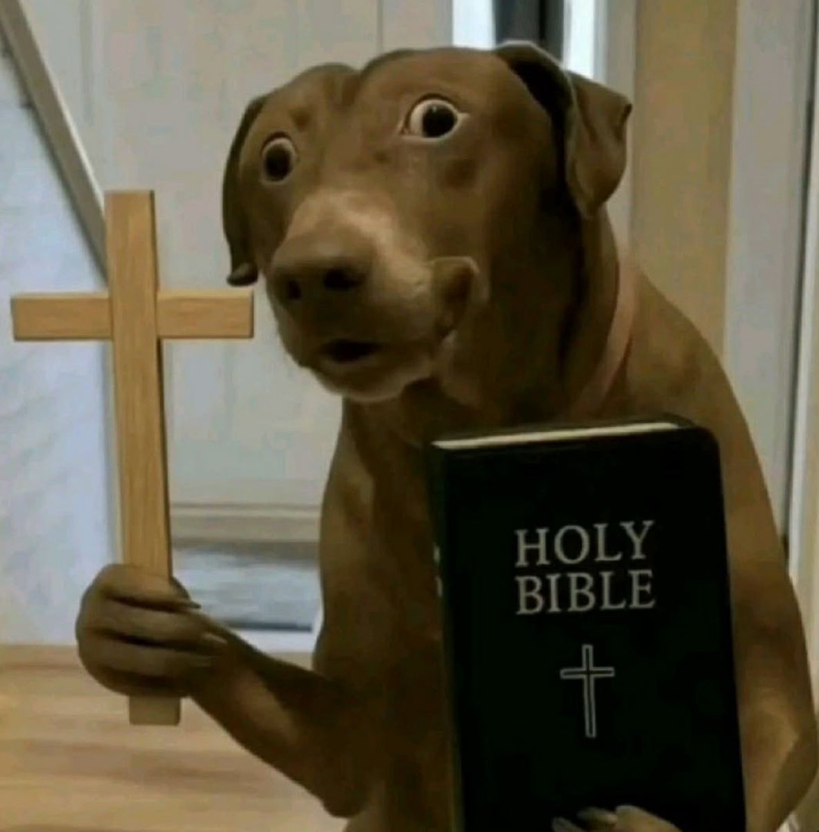 duśka 𐙚 tweet media