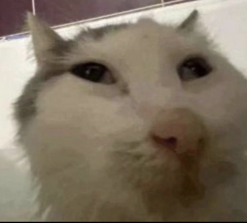 Nova 🇬🇹 💙💚 🇧🇷 tweet media