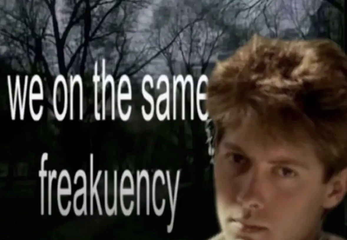 Kattomancy 🪦🕯️ tweet media