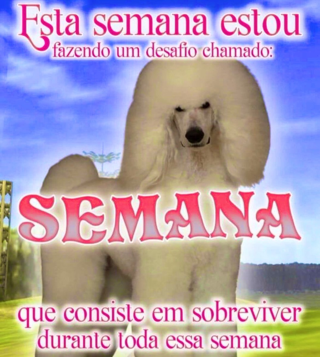 willwill tweet media