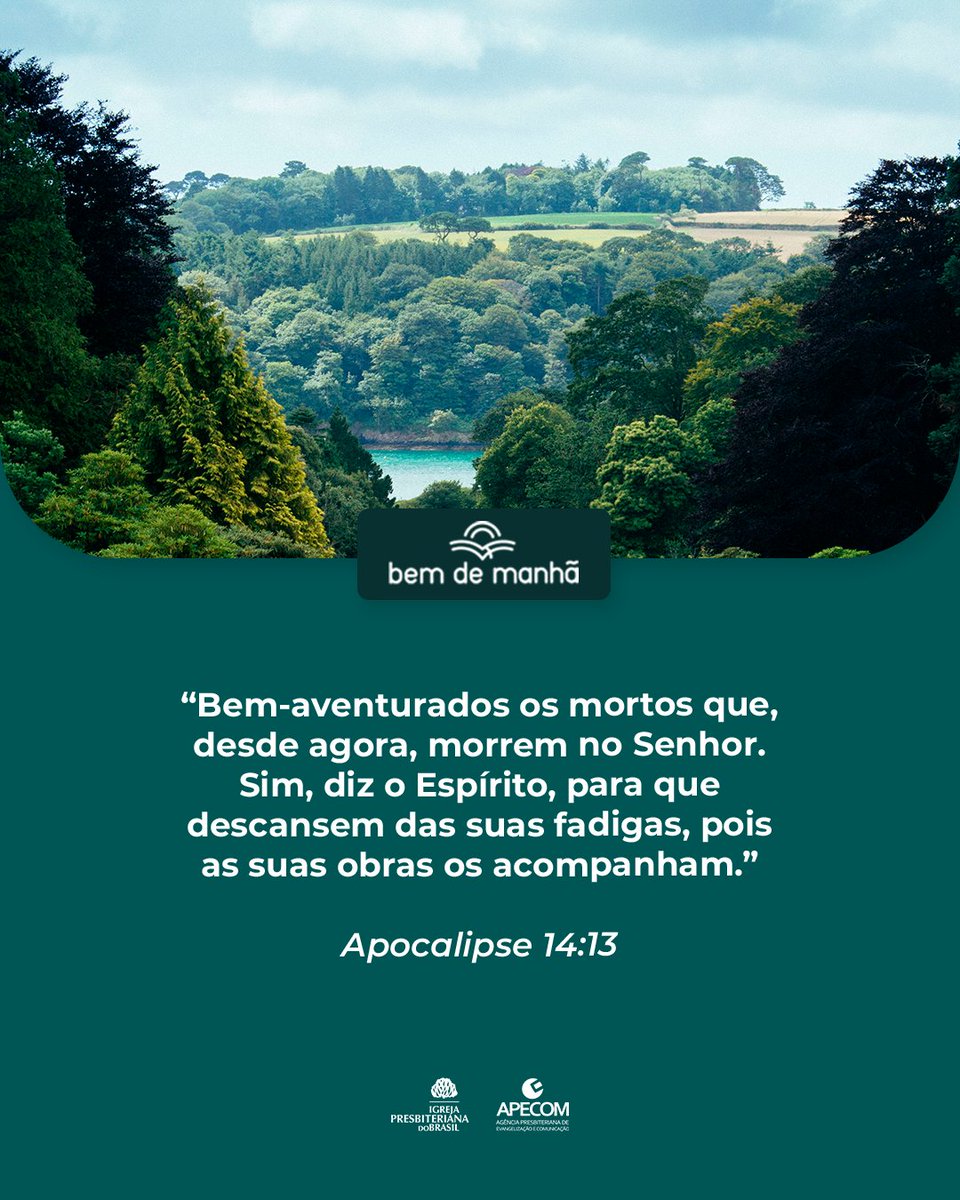 Igreja Presbiteriana tweet media