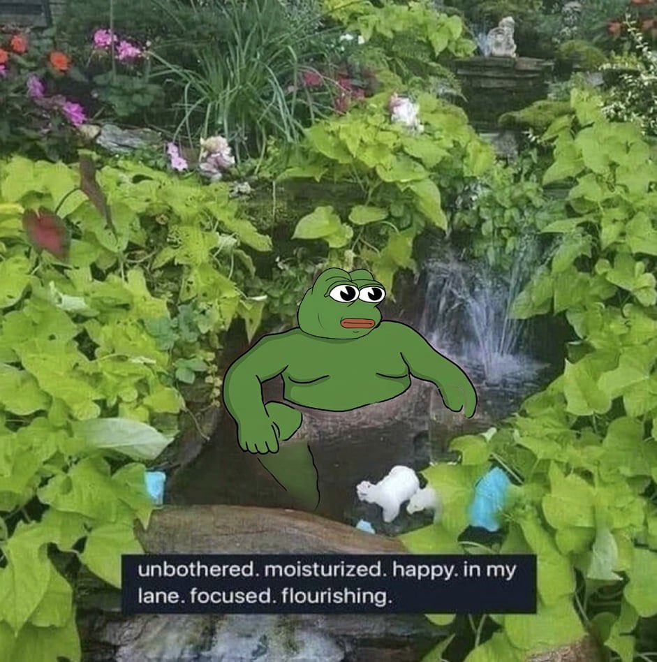 AARON 🐸 tweet media