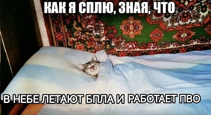 spashke_ tweet media