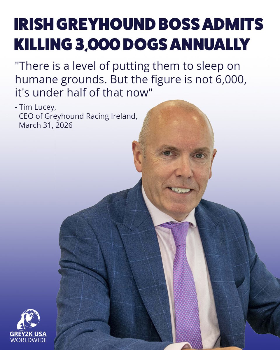 GREY2K USA Worldwide tweet media