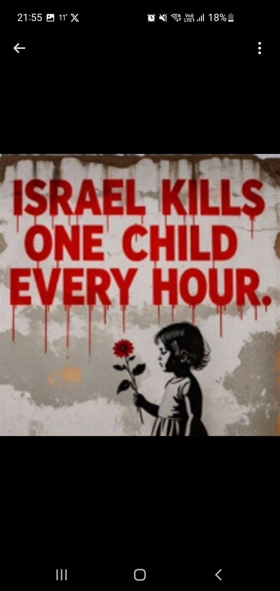 Markie 🇮🇪 🇺🇦 🇵🇸🔻 tweet media