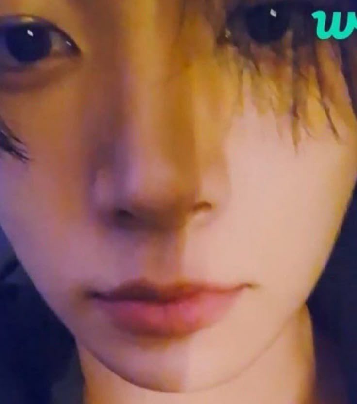 ella ENHYPEN IS 7! tweet media