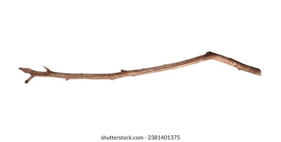 Digglebun tweet media