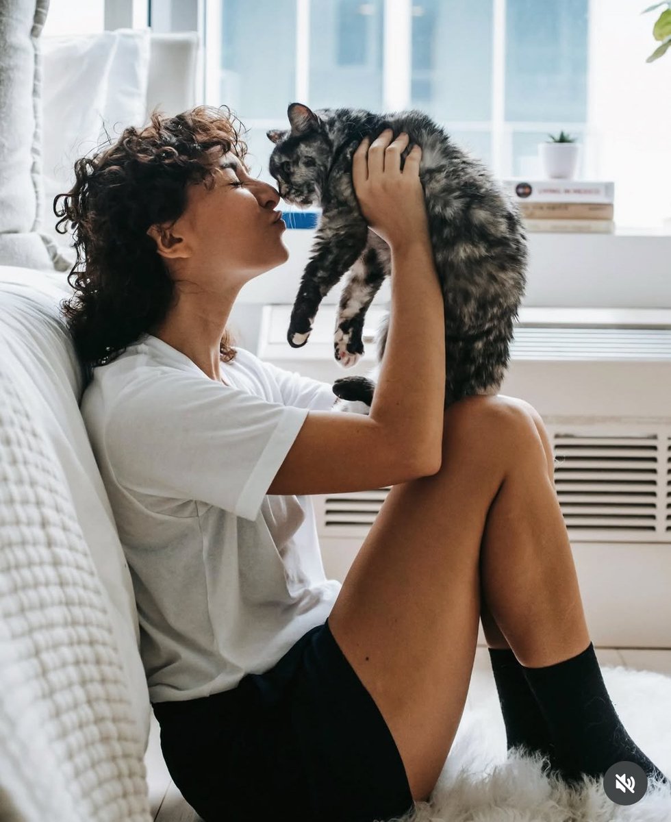 Halo Pets tweet media