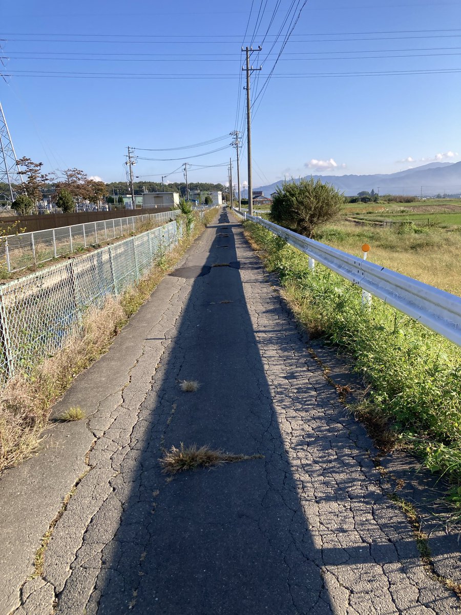 みぜっとR tweet media