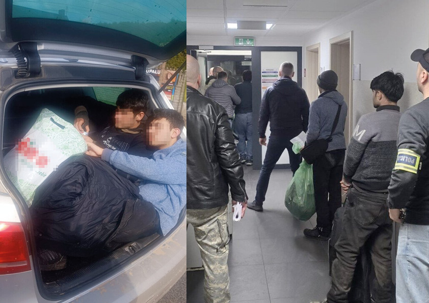 Adam Gwiazda tweet media