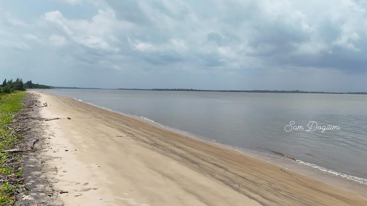 Dogitimi Sam tweet media