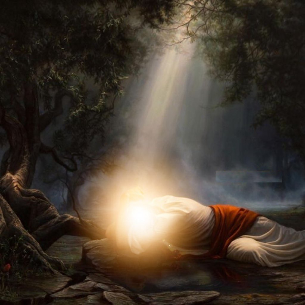 إثراء tweet media