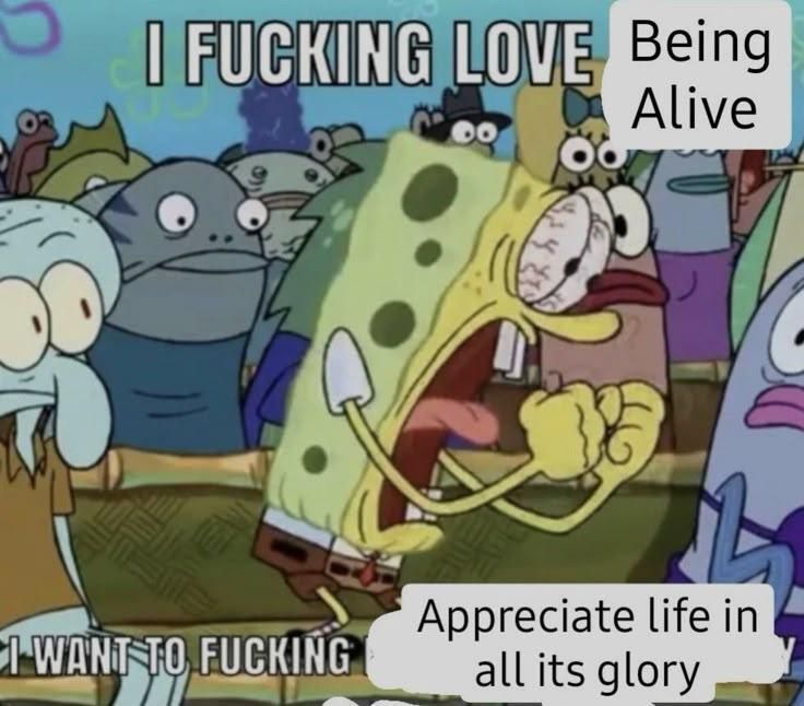 hopecore tweet media