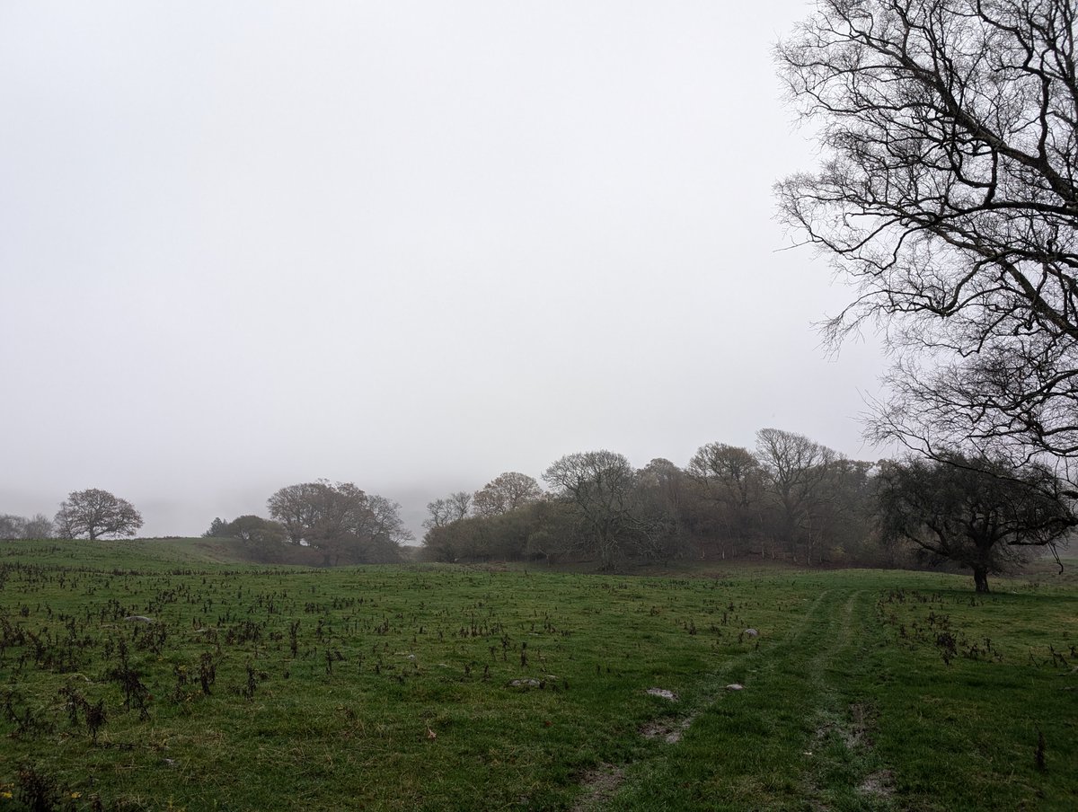 Yellowsky 🔆 tweet media