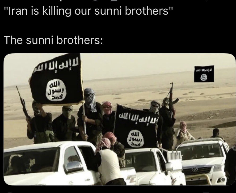 Acel🥕🐰 tweet media