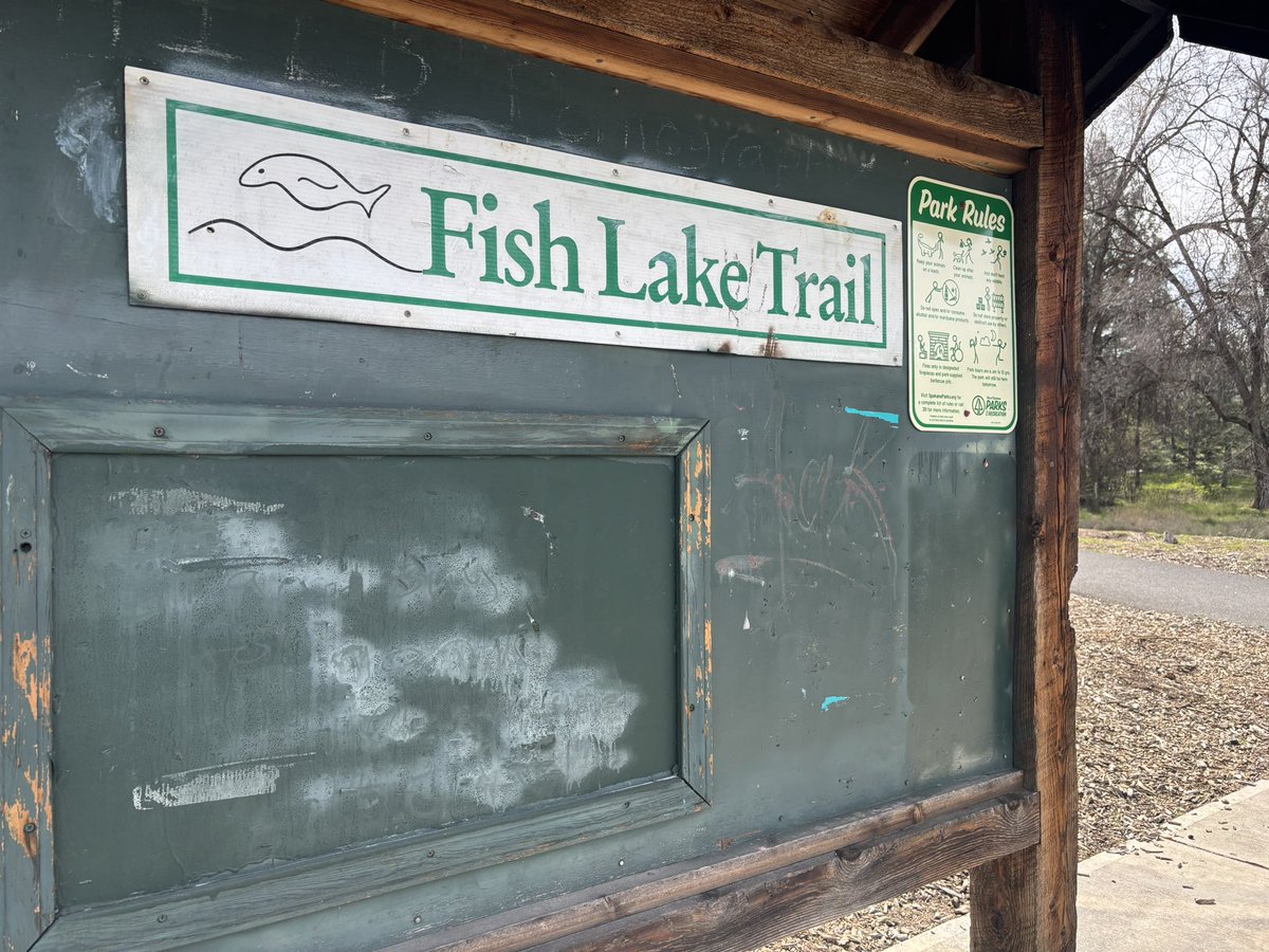 angelajaratv's tweet image. Spring walks in Spokane will be looking different soon! The city plans to start construction of a project that will connect Fish Lake Trail with Centennial Trail in two phases. This is the portion of Fish Lake Trail that they plan to revamp first. @kxly4news #news #springwalks