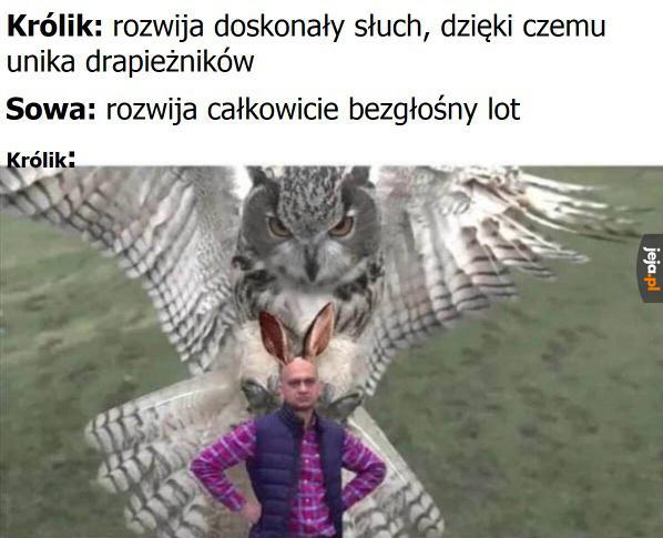 Przypadkowy tweet media