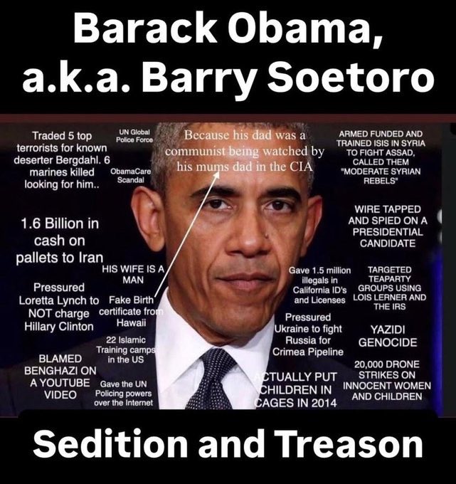 Janie Johnson - America is Exceptional tweet media