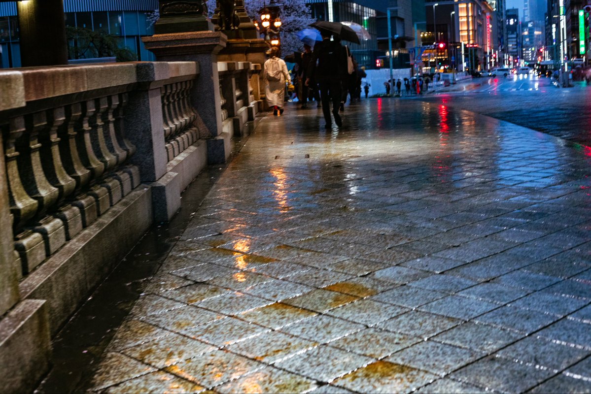 twin_troussier's tweet image. 見つめる
Camera:Canon EOS 5D mark Ⅳ
Lens:EF50㎜ F1.8 STM
#snap #キリトリセカイ