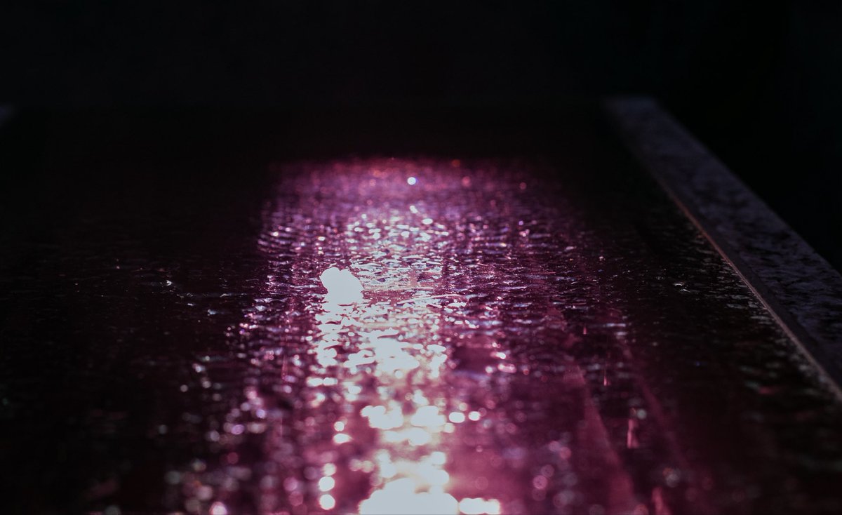 twin_troussier's tweet image. 見つめる
Camera:Canon EOS 5D mark Ⅳ
Lens:EF50㎜ F1.8 STM
#snap #キリトリセカイ