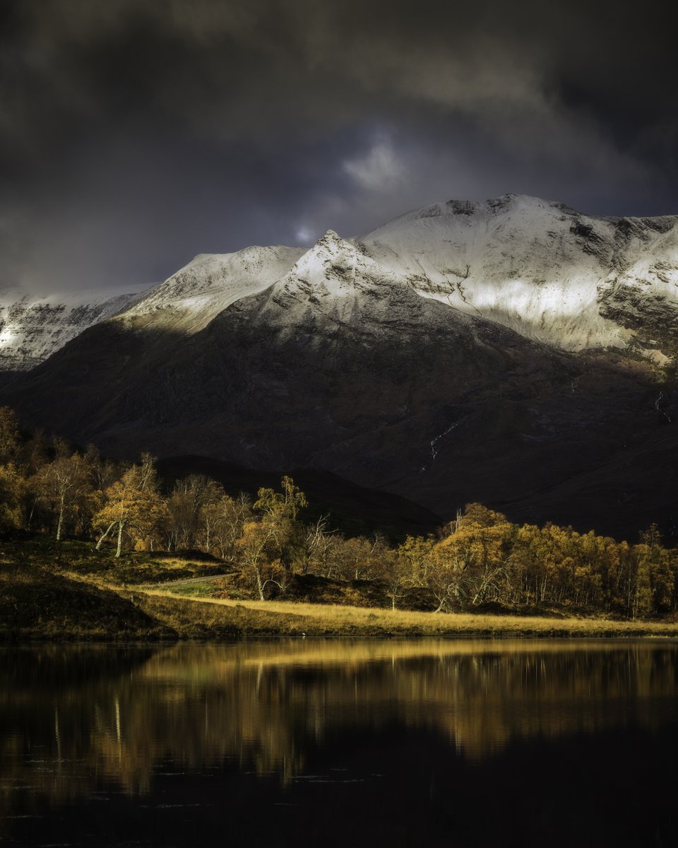 mark littlejohn tweet media