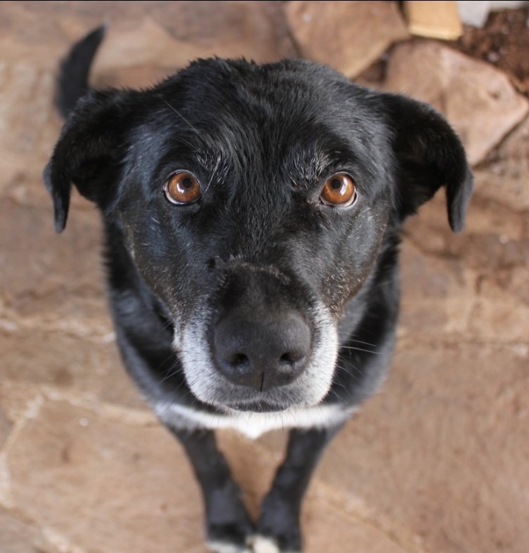 Tobe or not 🦇 tweet media