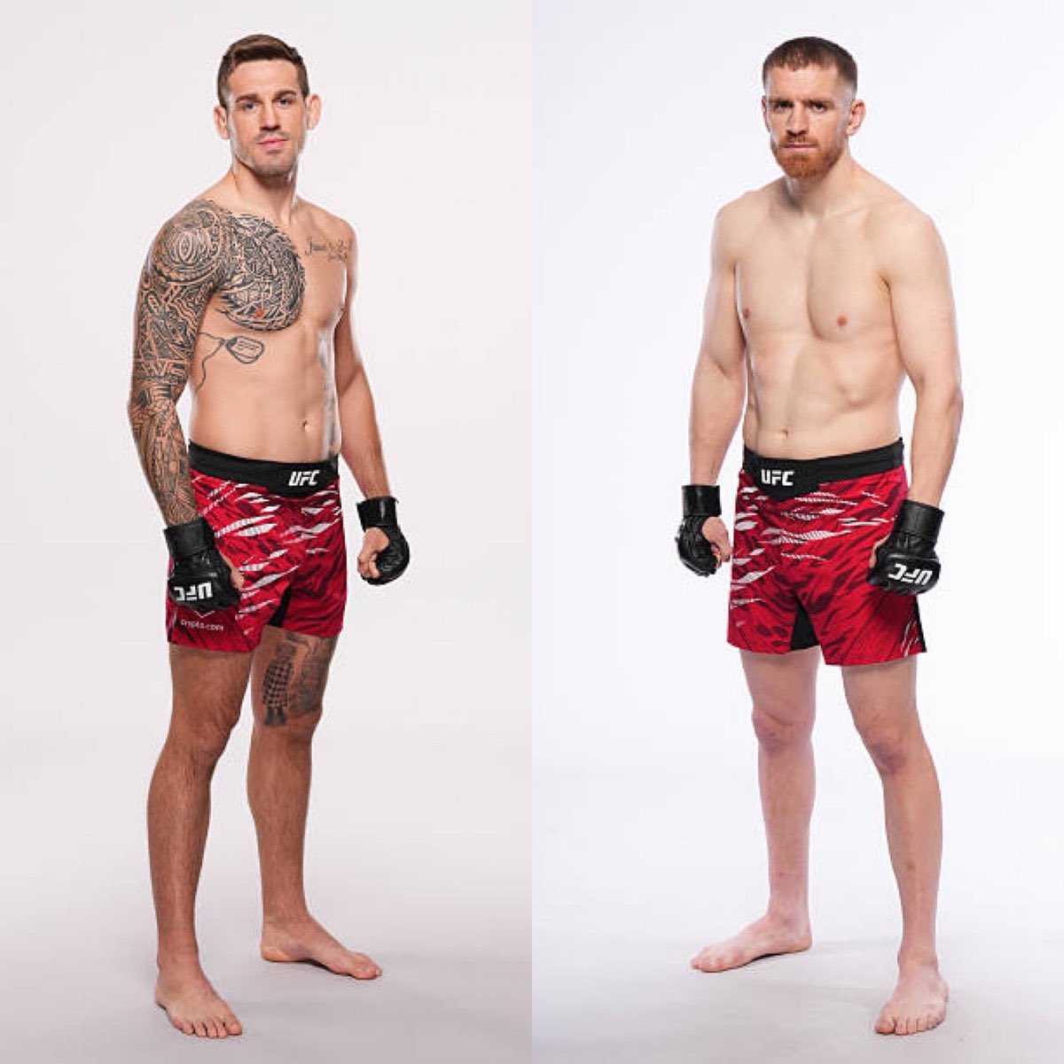 Blind Bear 🐻🕶️ tweet media