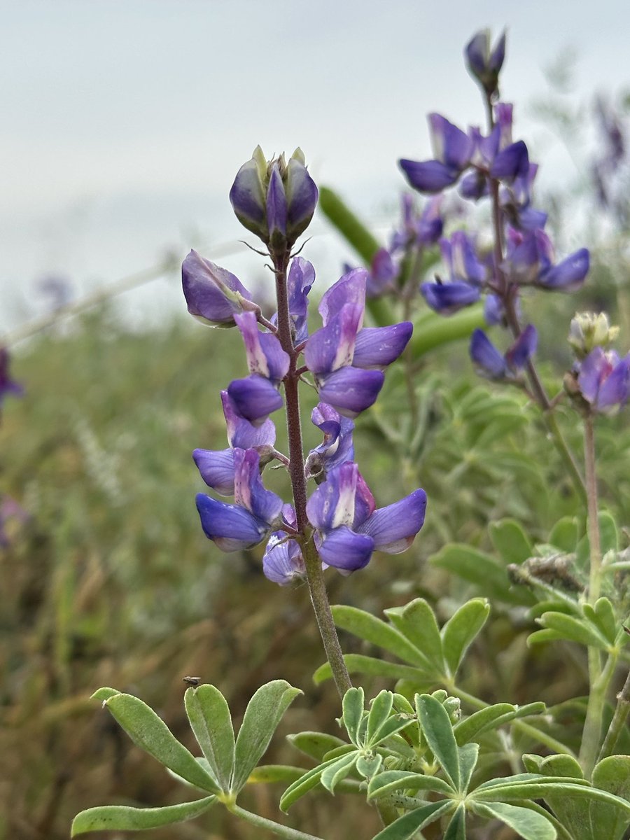 infinite ✧ tweet media