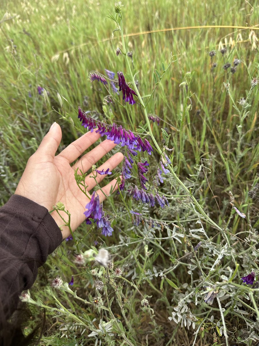 infinite ✧ tweet media