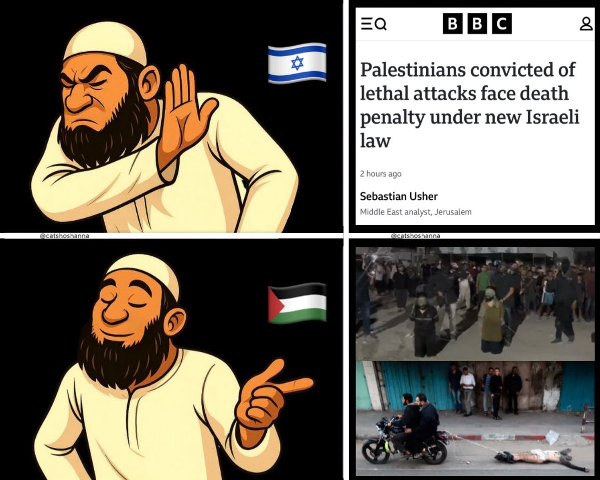 Caт Bee 🪶 tweet media