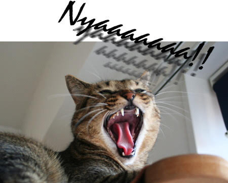 にゃぱねっと♂ tweet media