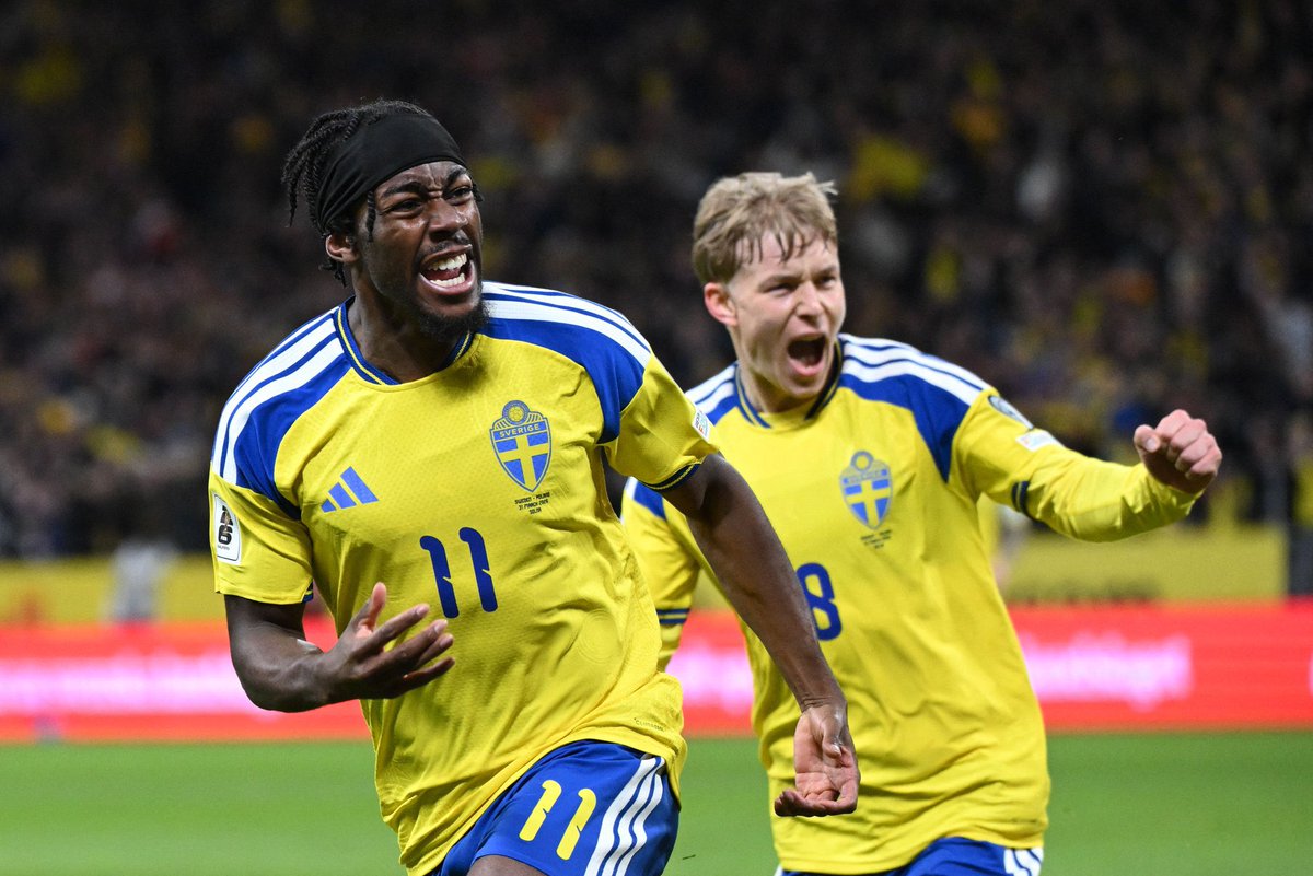 عمرو tweet media